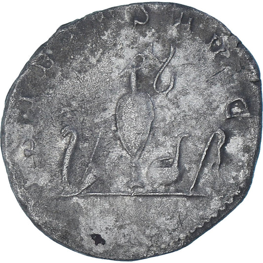 Valerian II, 
  
  Antoninianus, 
  
  256